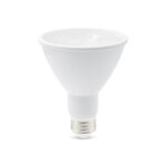 Ecolite S.A.S - Spot par 30 con fuente led de 12w para enroscar (rosca:e27) lbpar3012w