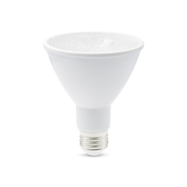 Ecolite S.A.S - Spot par 30 con fuente led de 12w para enroscar (rosca:e27) lbpar3012w