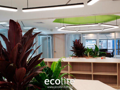 Proyecto-Efigas-Pereira-Conconttec-SAS-4