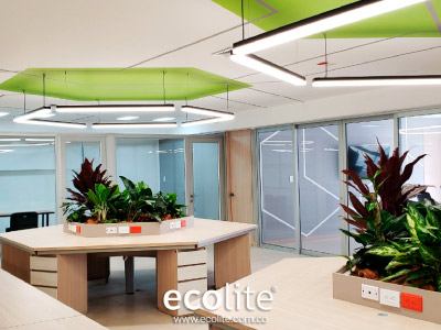 Proyecto-Efigas-Pereira-Conconttec-SAS-5