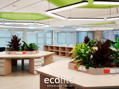 Proyecto-Efigas-Pereira-Conconttec-SAS-6