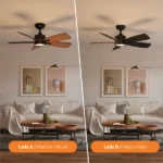 Ventiladores de techo