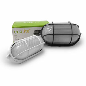 tortuga-E27-XL-junto-con-pequ